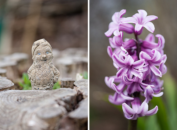 Macro blog comp 3