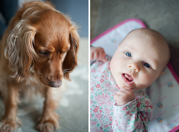 Chloe and nibbles 1