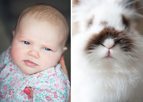 Chloe and nibbles