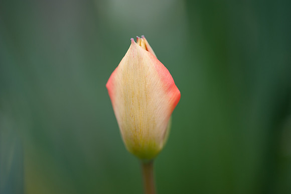 Laura Crouchley-_DSC7882