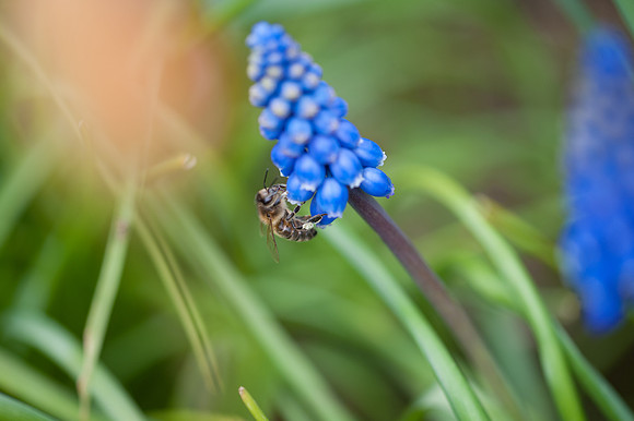 Laura Crouchley-_DSC7894