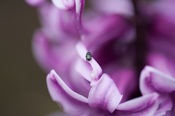 Laura Crouchley-_DSC7908