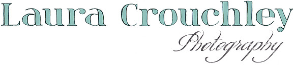 LC Logo FINAL - PENCIL AND TURQUOISE