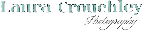 LC Logo FINAL - PENCIL AND TURQUOISEnew