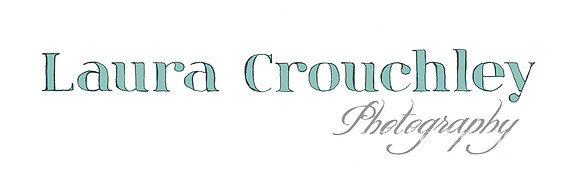 LC Logo FINAL - TURQUOISE AND GREY FILLED IN 2026 highest quality