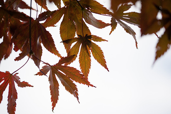 Laura Crouchley_DSC0645