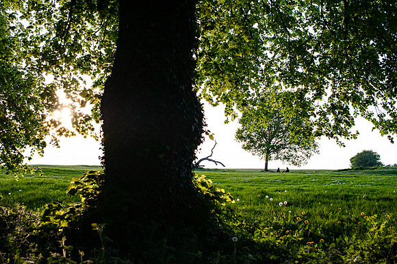 DSC_7619
