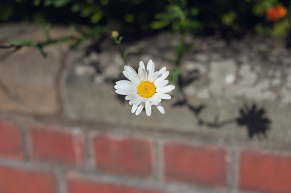 DSC_9738