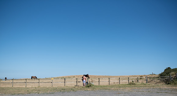 DSC_8737-2