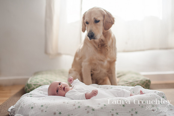 5x7, Ellis & Nala