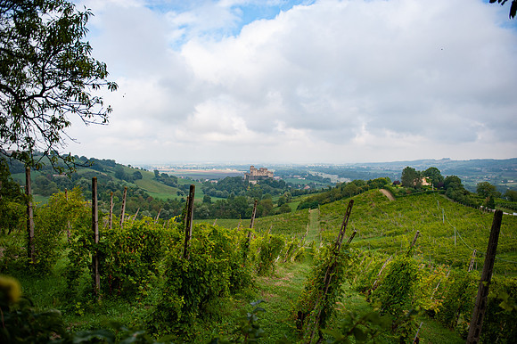 _DSC9278