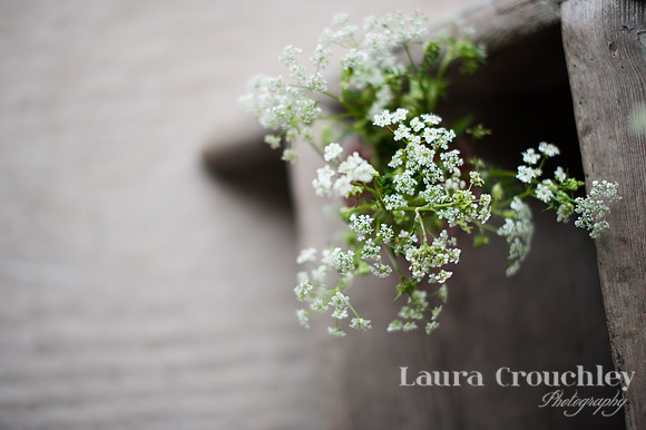 DSC_2403-Laura Crouchley