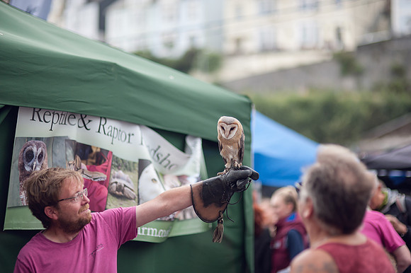 Looe-music-festival-2016-SEASIDE-LAURA CROUCHLEY-HR-DSC_6163