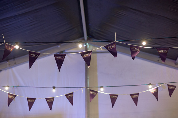 Looe-music-festival-2016-SPONSOR-LAURA CROUCHLEY-HR-DSC_5513